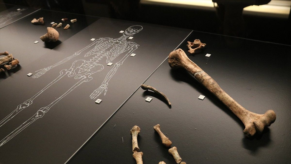 Les restes dels neandertals trobades a Simanya