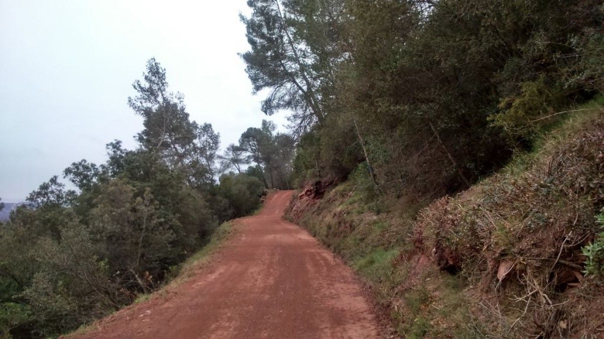 Un dels camins arranjats a Viladecavalls.