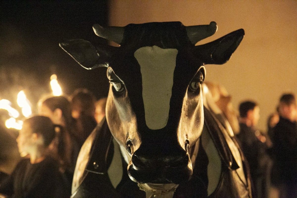 La Baixada de la Vaca és un dels actes principals de la Festa Major petita de Vacarisses.