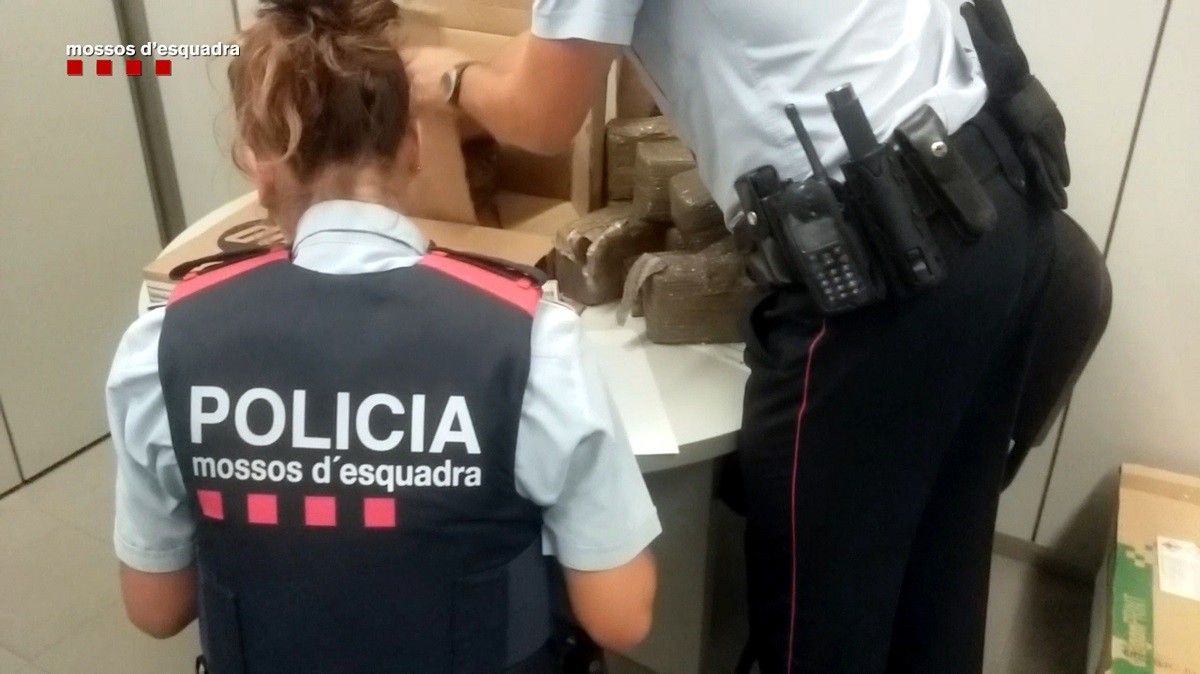 Dos agents de mossos comprovant els paquets d'haixix decomissats a Molins de Rei.