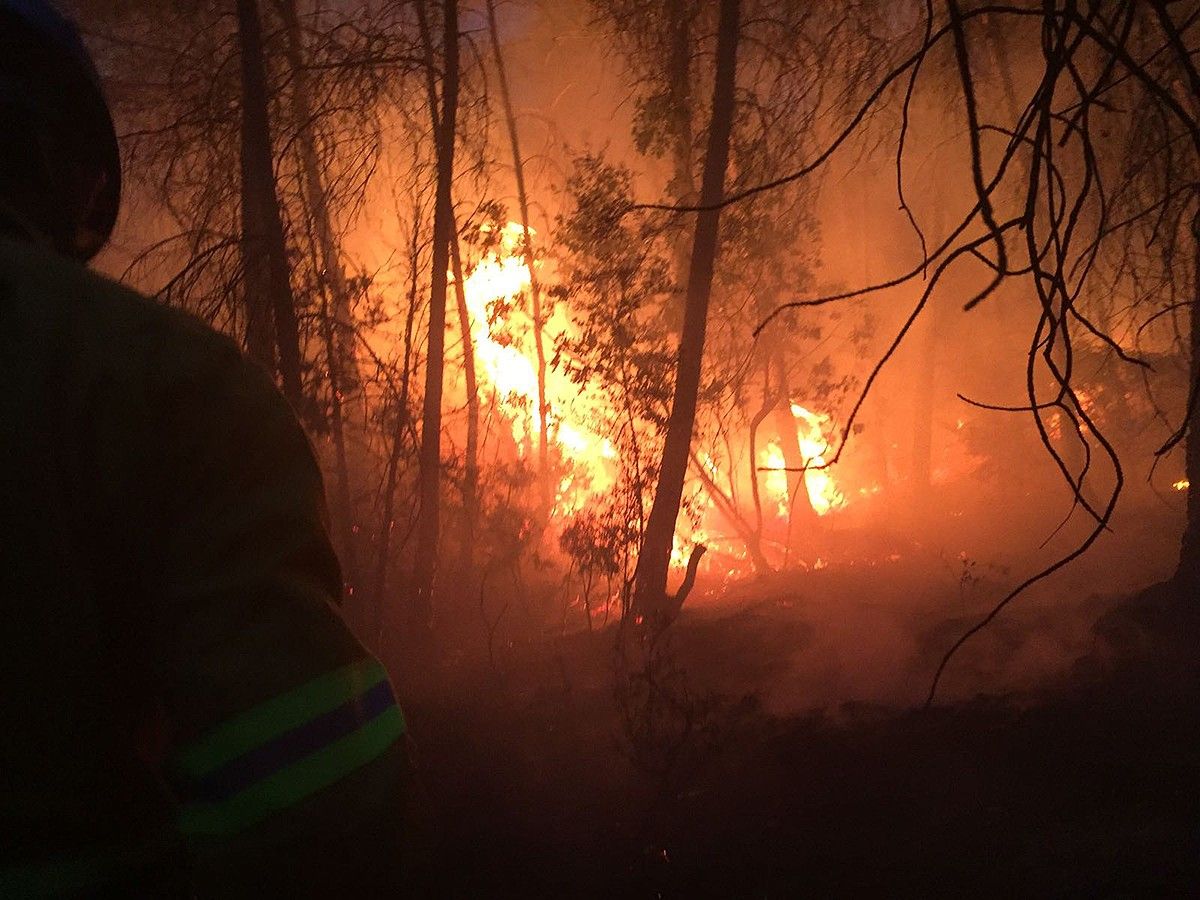 Un bomber treballant en les tasques d'extinció del foc