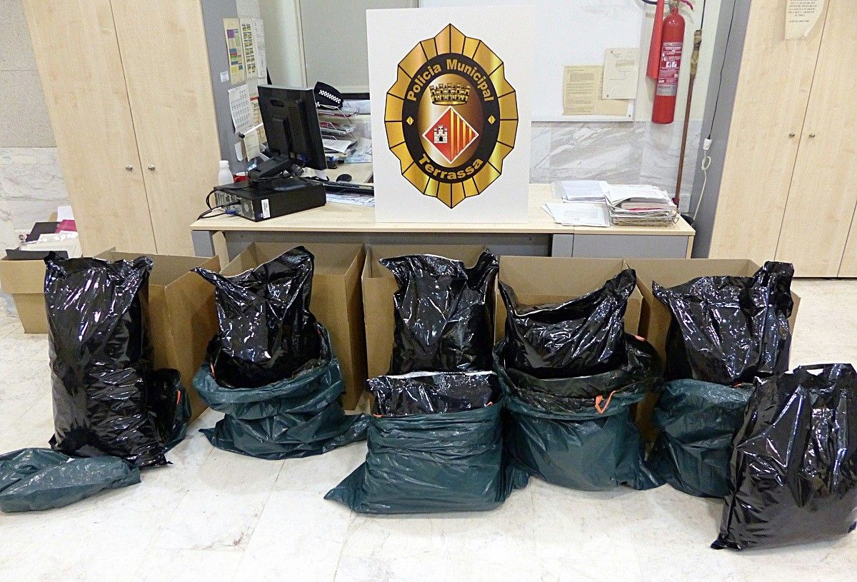 Les bosses de marihuana requisades per la Policia Municipal de Terrassa