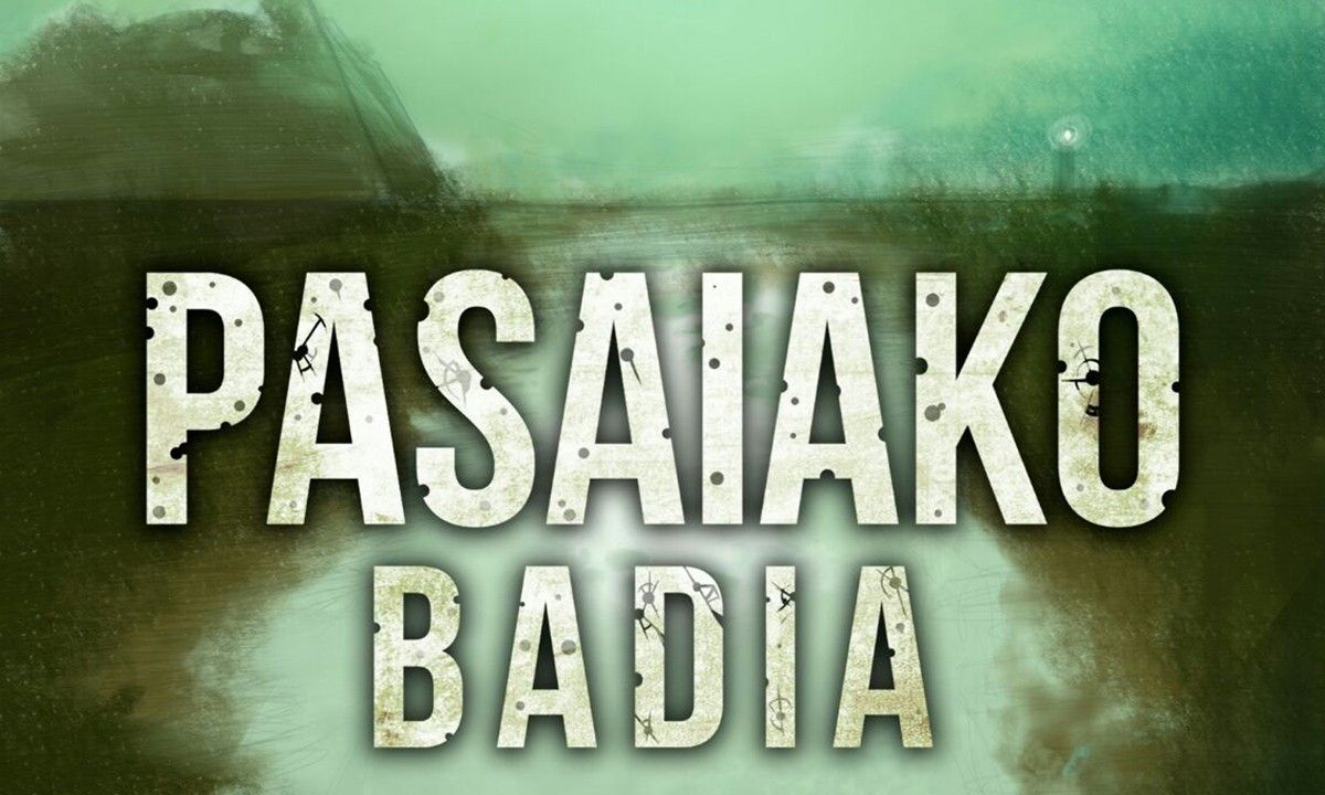 Cartell del documental «Pasaiako Badia»