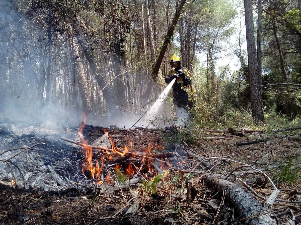 Incendi forestal a Torrebonica 