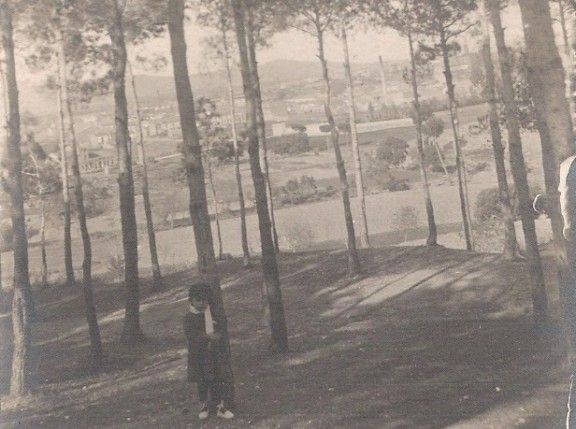Bosc de Ca n'Aurell de Terrassa (27/3/1914)
