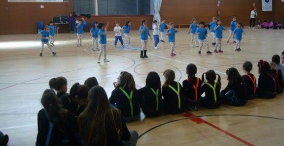 Hi van participar 13 grups d'escoles del Vallès 