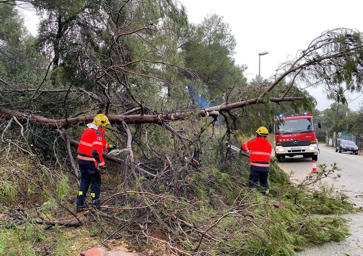 Els Bombers de Matadepera retiren un arbre caigut durant el temporal.