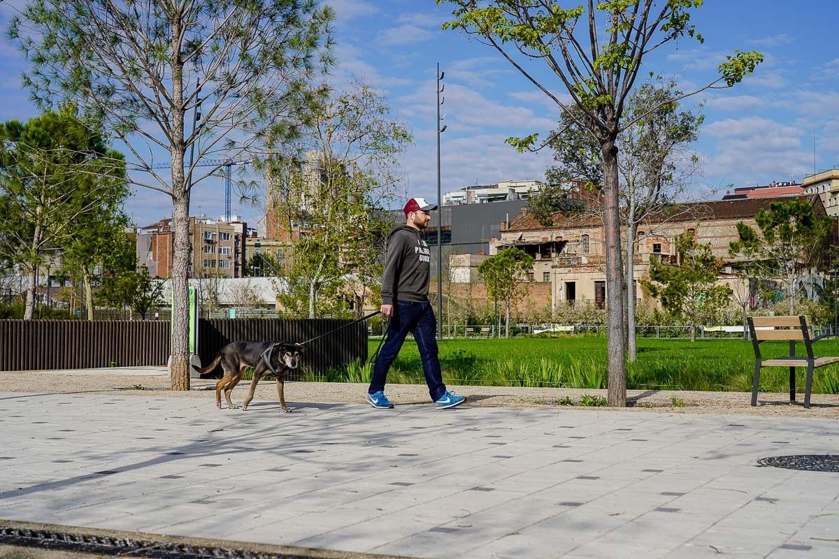 Un home passeja el seu gos durant el confinament.