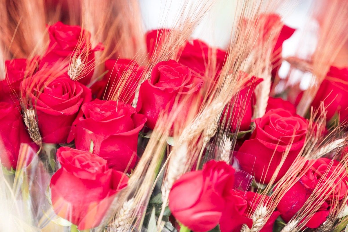La demanda de roses a Terrassa aquest Sant Jordi ha disminuït un 90%, segona la Unió de Floristes.