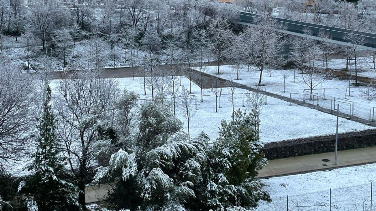 El parc de Vallparadís de Terrassa s'ha llevat completament blanc. 