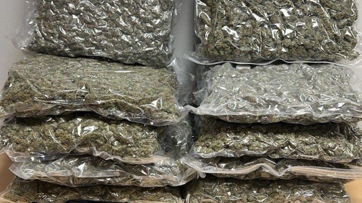 Els Mossos han interceptat deu quilos de marihuana