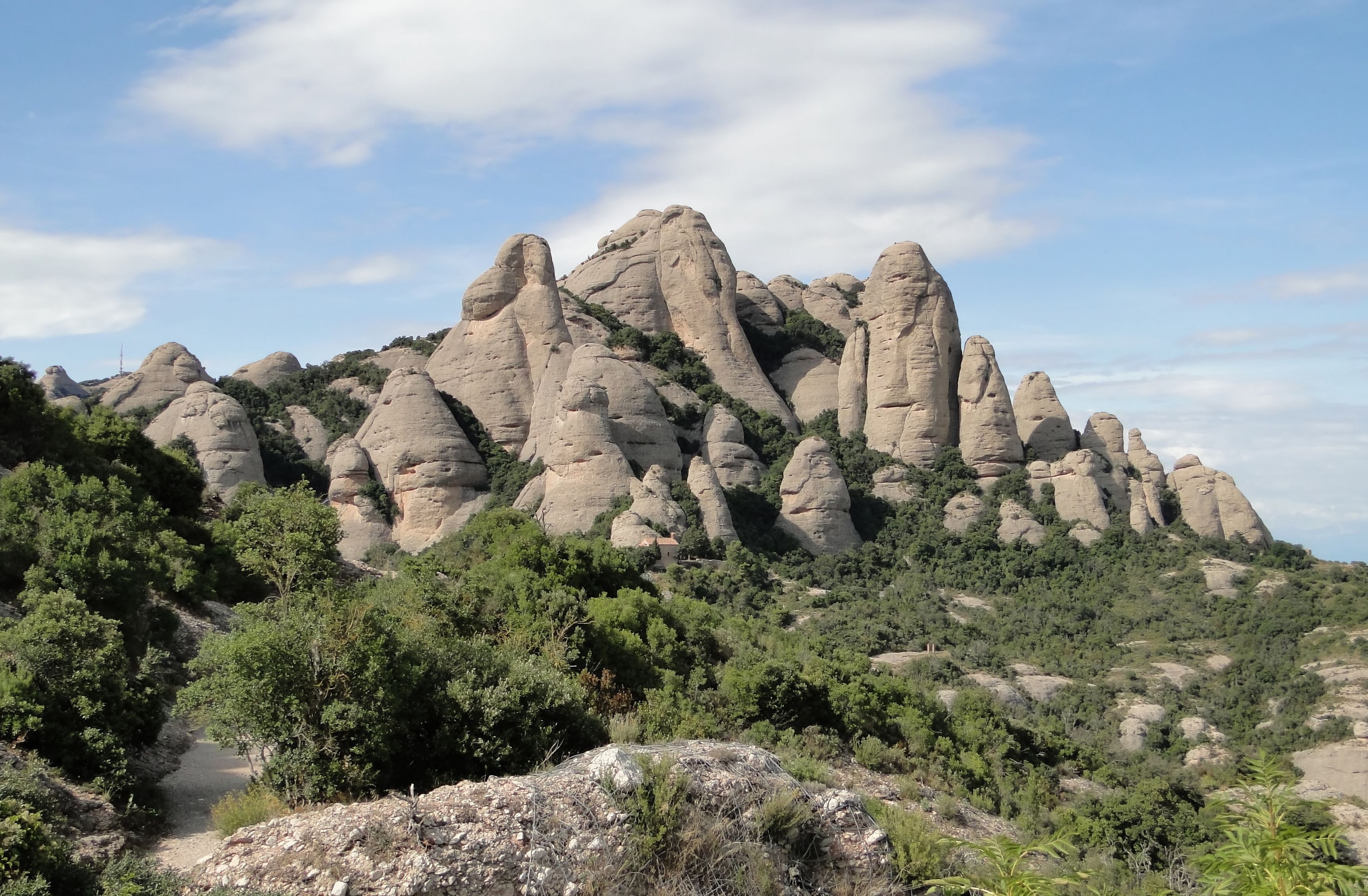 és una iniciativa provinent del Parc Rural de Montserrat.