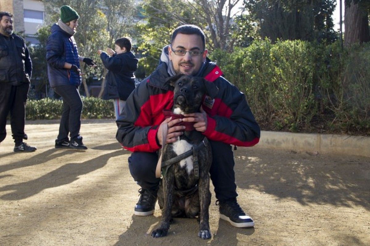 El Parc de Sant Jordi ha acollit una jornada lúdica per als gossos 