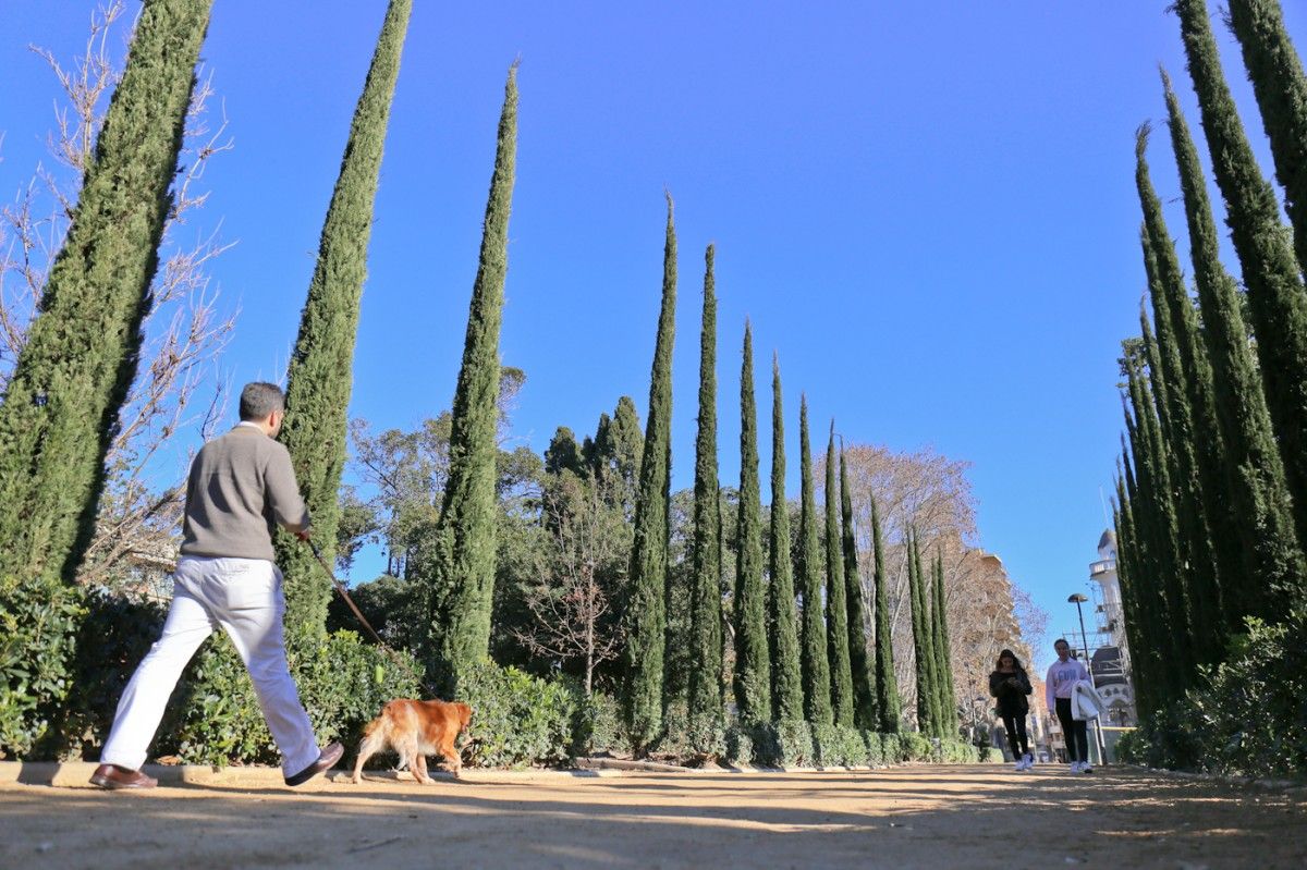 El passeig dels xiprers, al Parc de Sant Jordi.