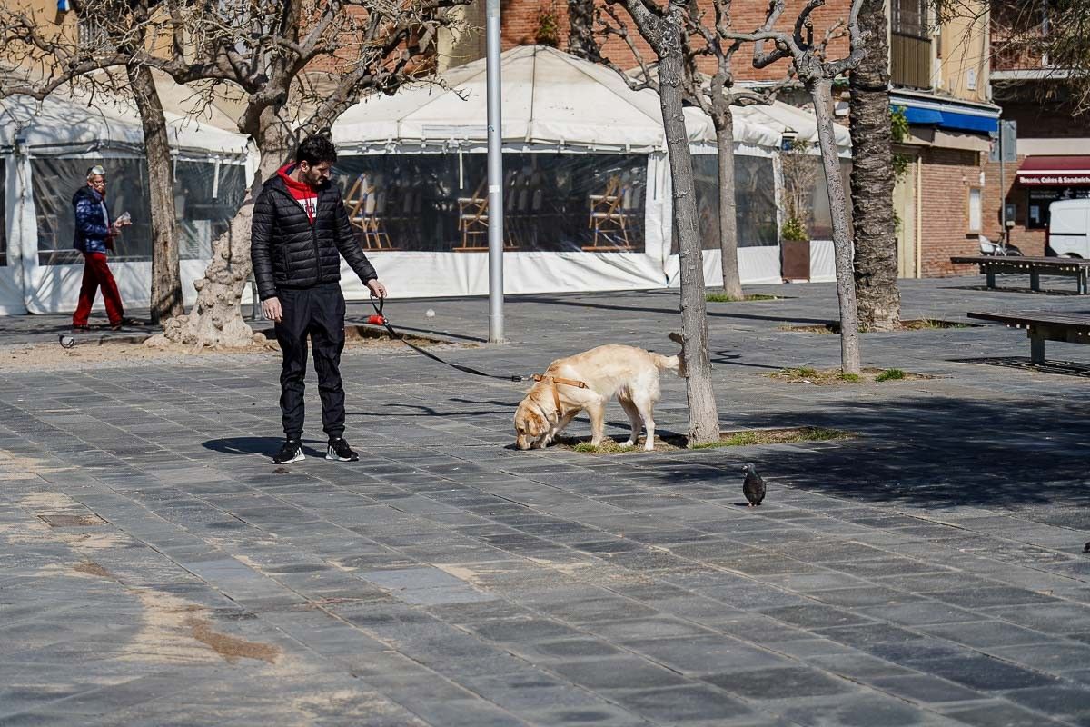 Un home passeja un gos a Barcelona, durant el cconfinament
