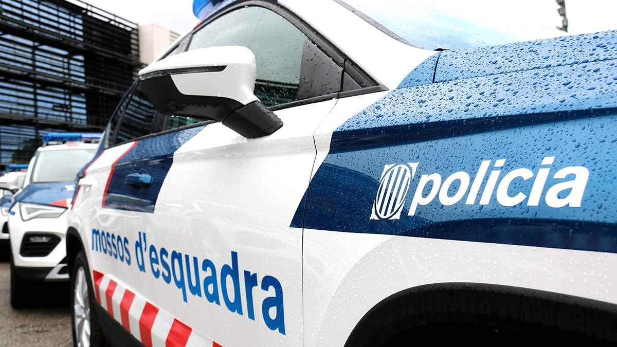 Els Mossos detenen el presumpte autor dels fets per homicidi per imprudència greu