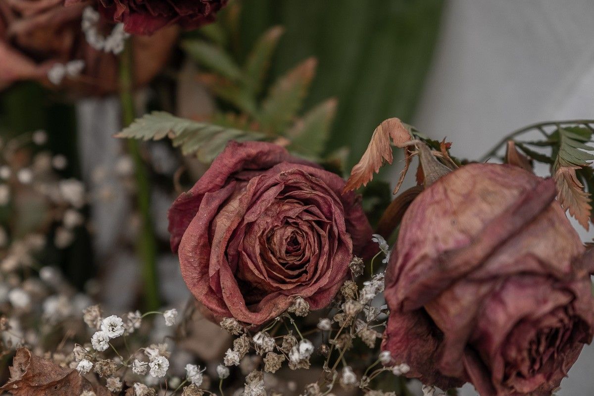 Flors d'un enterrament