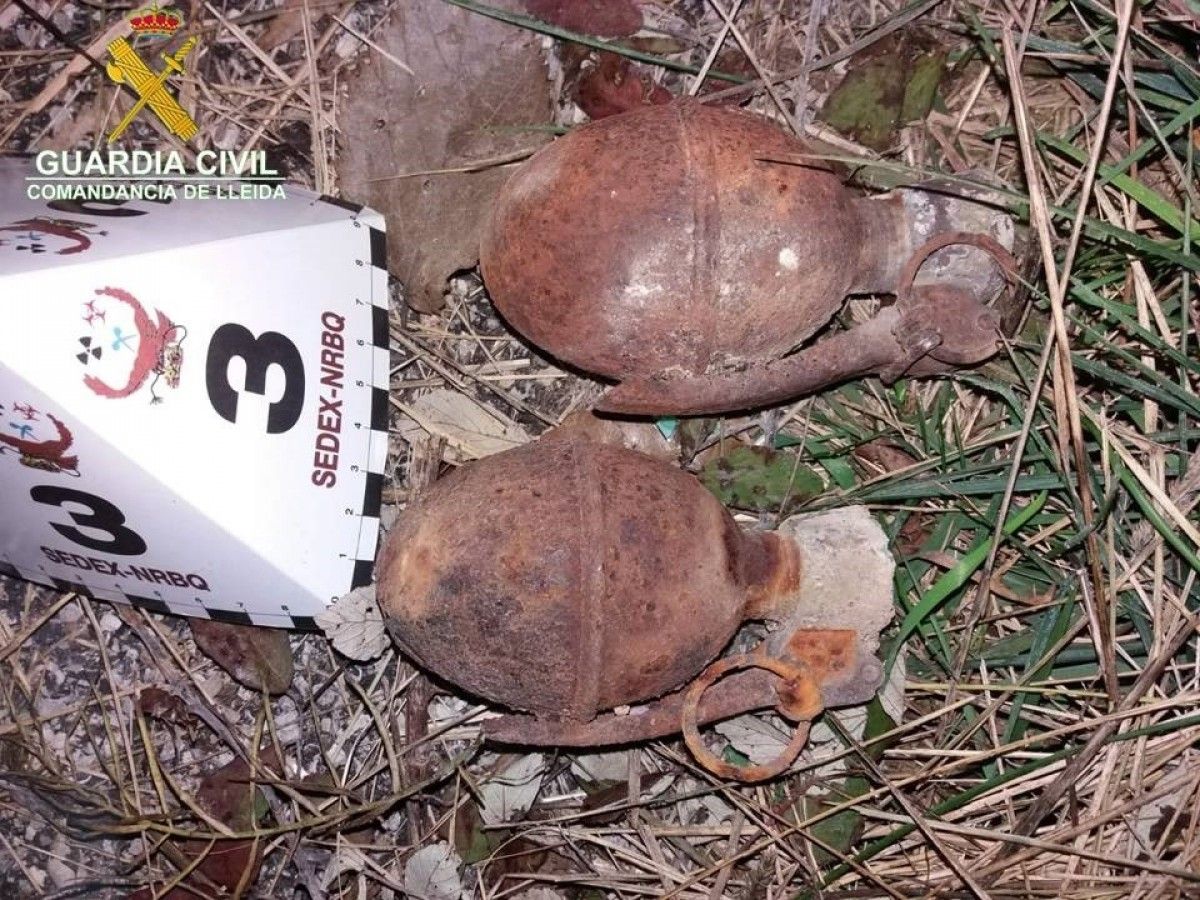 Imatge de les dues granades