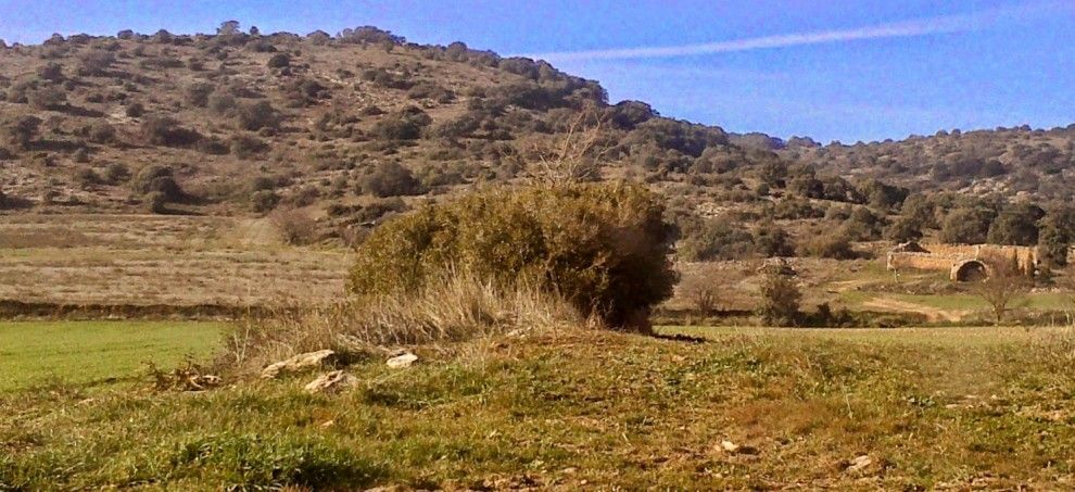 Imatge dels terrenys de la Tossa, a Algerri