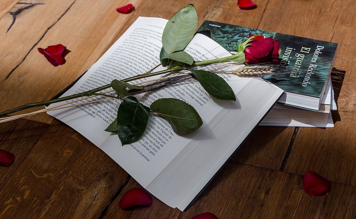 La tradicional rosa vermella de Sant Jordi damunt d'un llibre