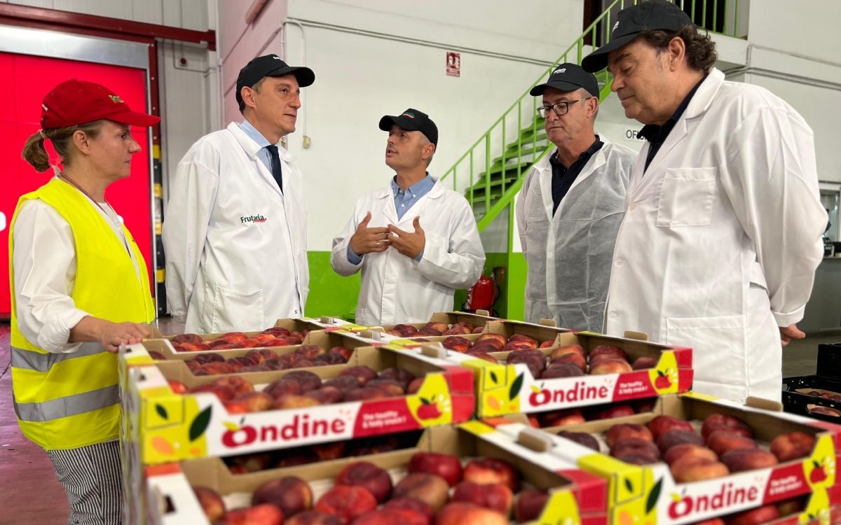 José Crespín visitant Frutaria