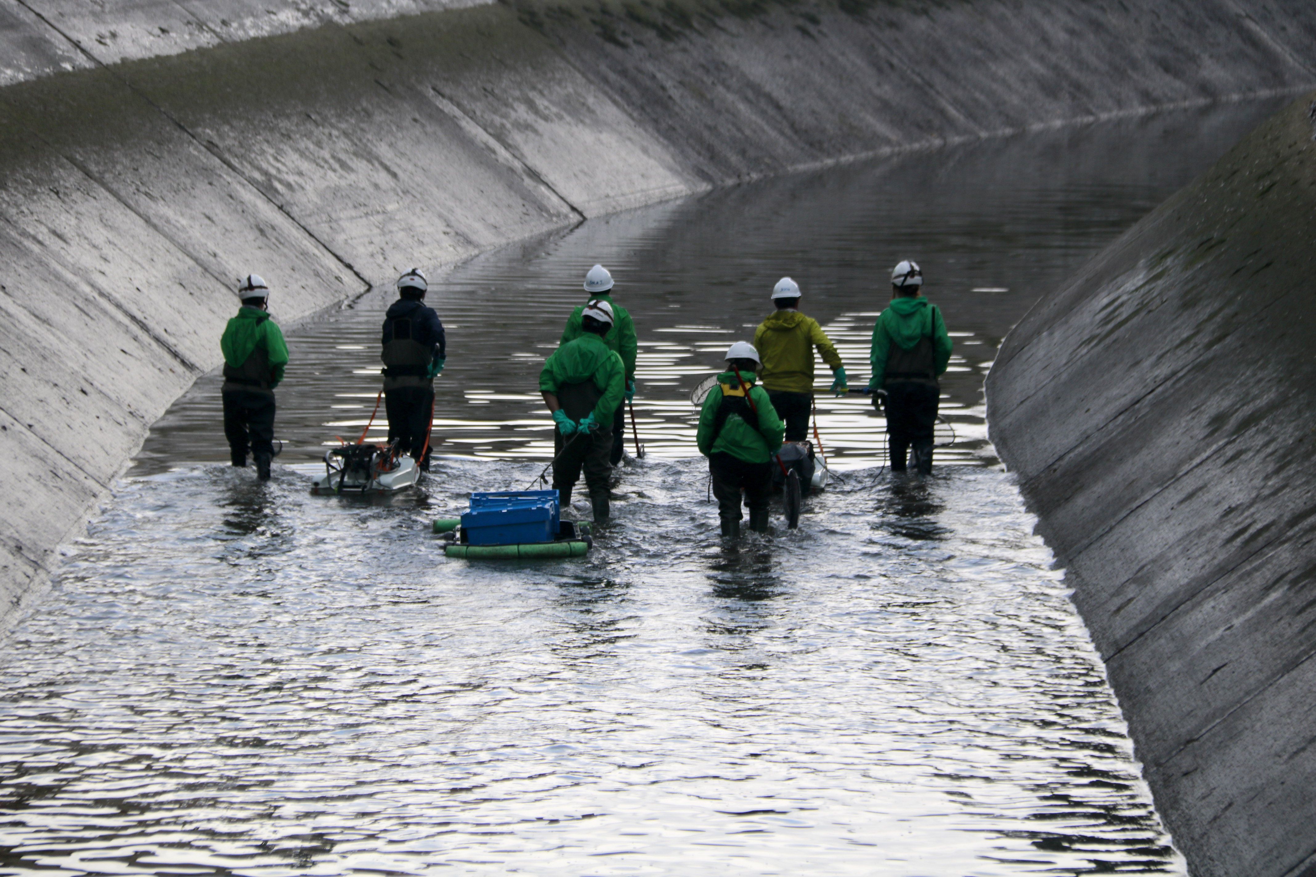 Tècnics pentinen el Canal de Seròs