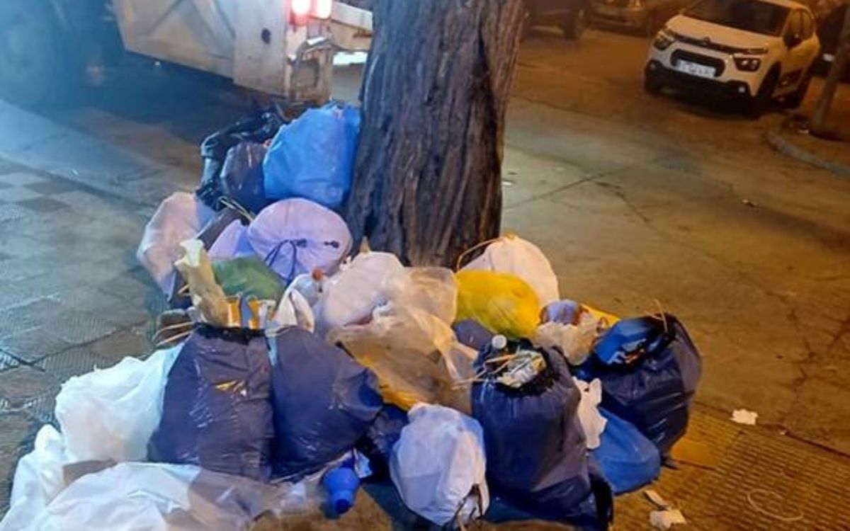 Bosses de la brossa apilades en un arbre a Tàrrega