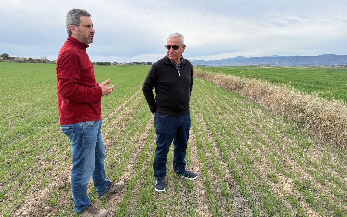 Gerard Batalla i Francesc Batalla, dos pagesos afectats per la concentració parcel·lària dels terrenys de la Sentiu de Sió, Bellmunt i Montgai