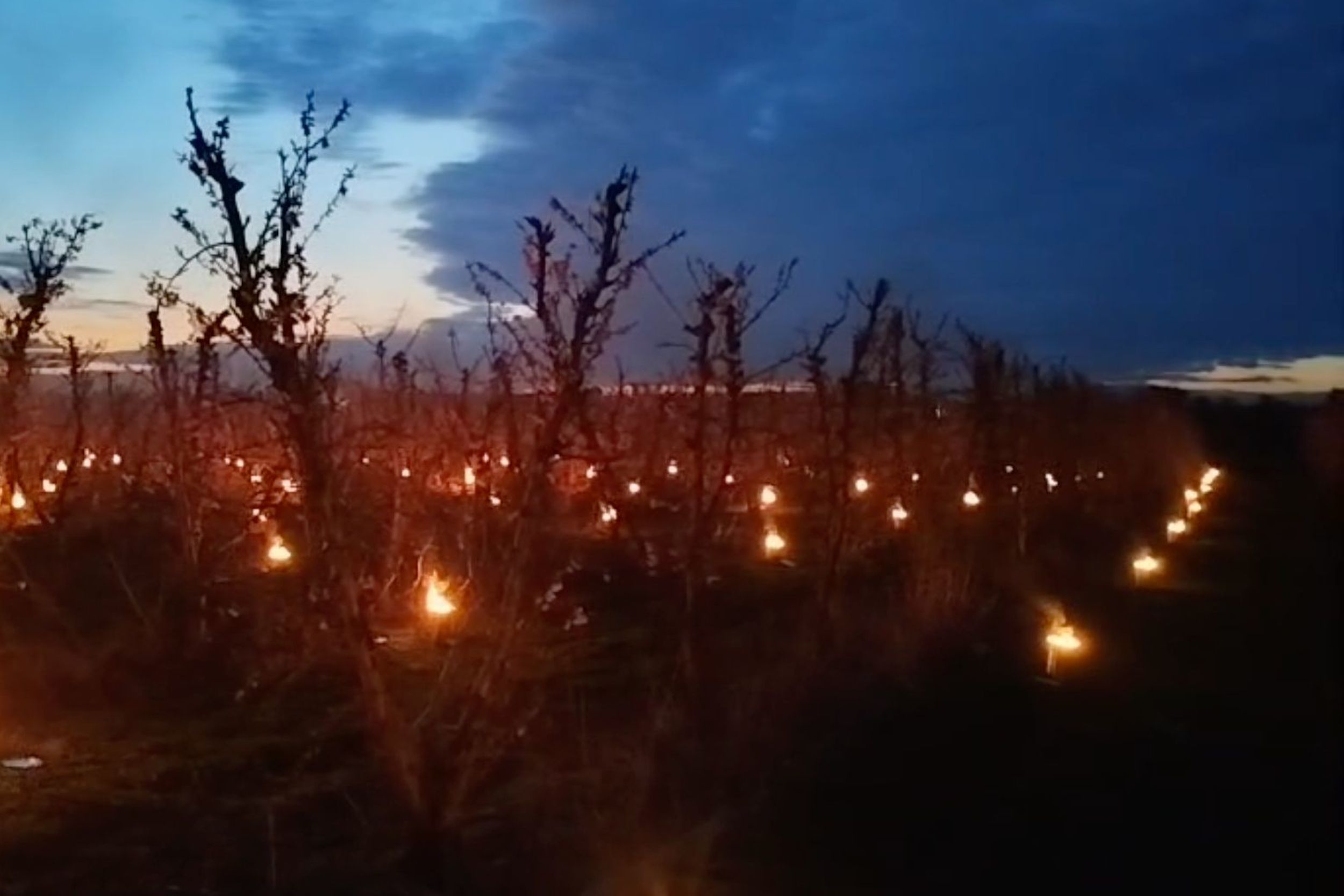 Cremadors en finques d'arbres fruiters d'Artesa de Lleida, al Segrià, aquest cap de setmana