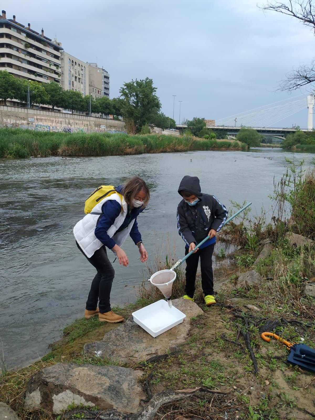 Els participants capturant invertebrats al riu Segre