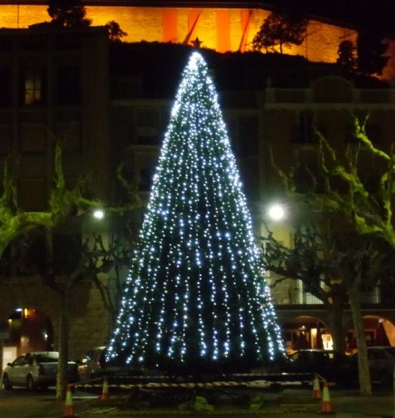 La plaça Mercadal de Balaguer ja té arbre