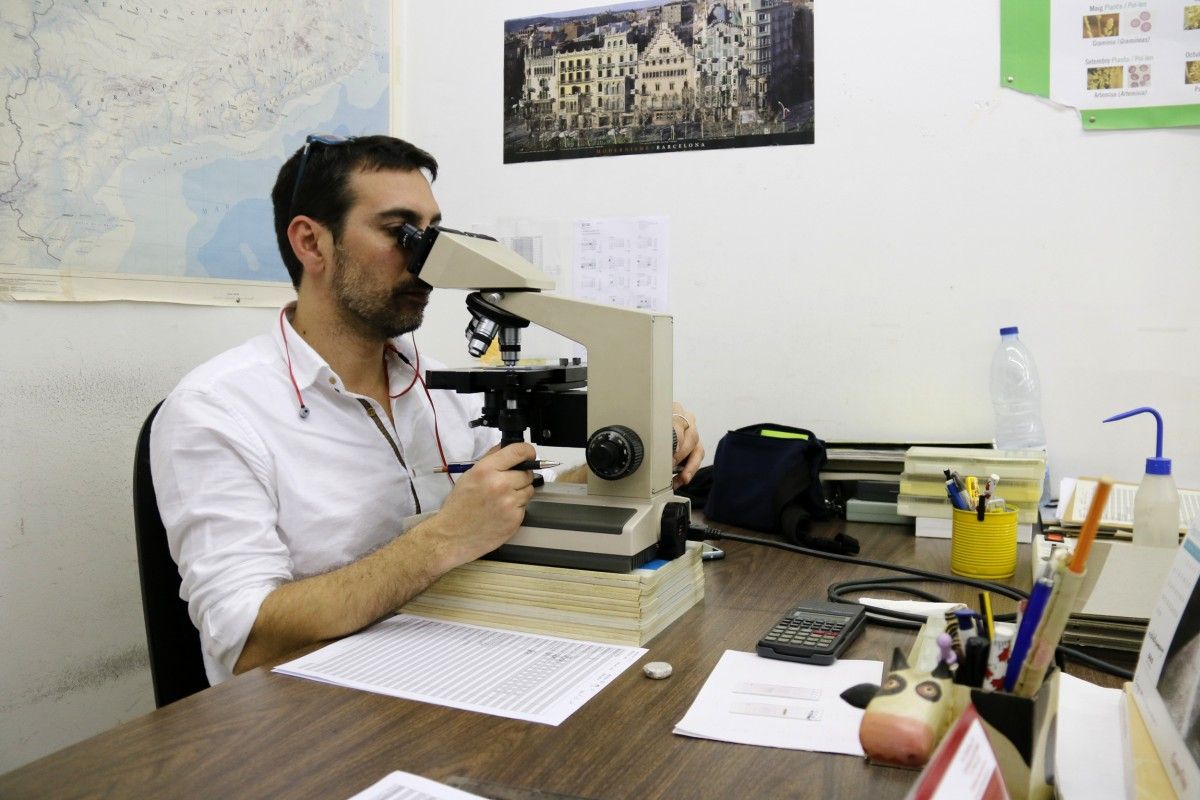 Un investigador de la UAB observa grans de pol·len al microscopi.