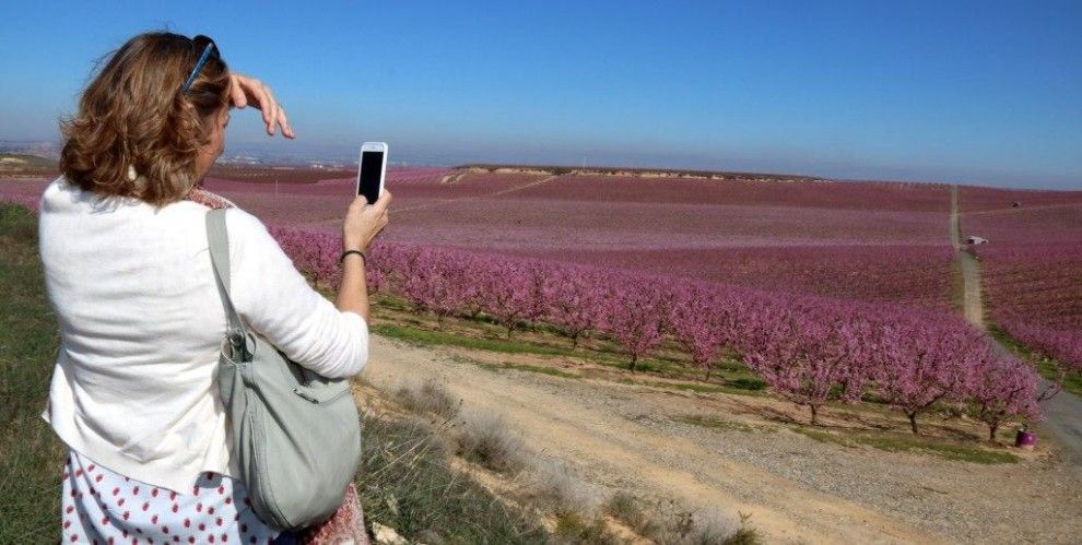 Una turista fent una foto en un camp florit