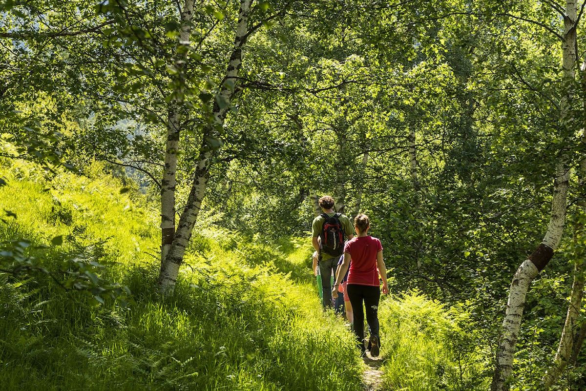 Dos persones caminant per un sender del Parc Natural de l’Alt Pirineu.