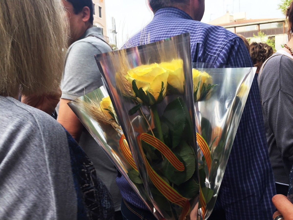 Roses grogues a la plaça Vella de Terrassa