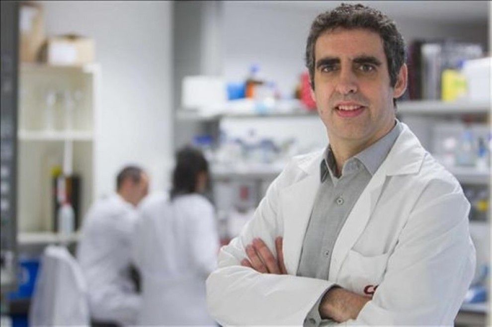 Manel Esteller, director del Programa d'Epigenètica i Biologia del Càncer de l'Institut d'Investigacions Biomèdiques de Bellvitge (Idibell).