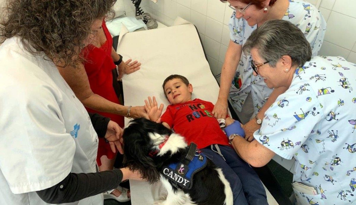 Un nen a la consulta amb metges, infermeres i un gos