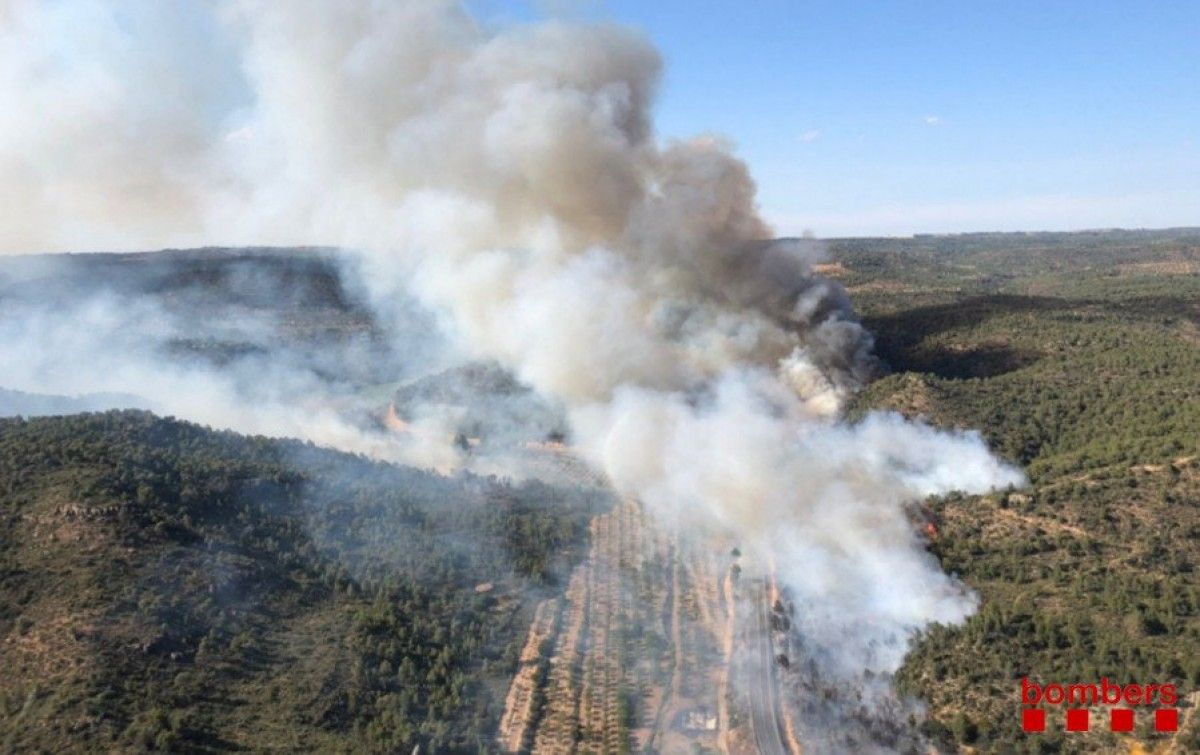 Imatge aèria de l'incendi forestal de Maials.