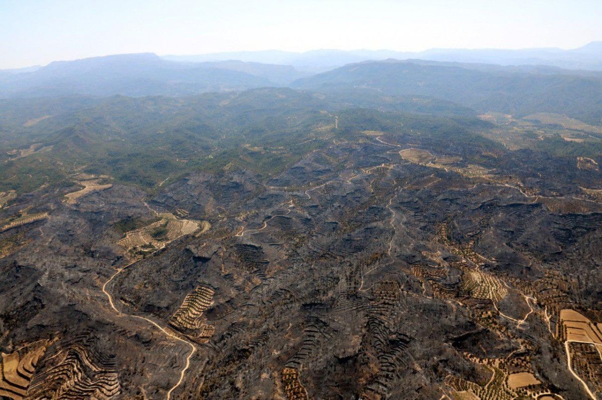 Les hectàrees devorades per l'incendi de la Ribera d'Ebre