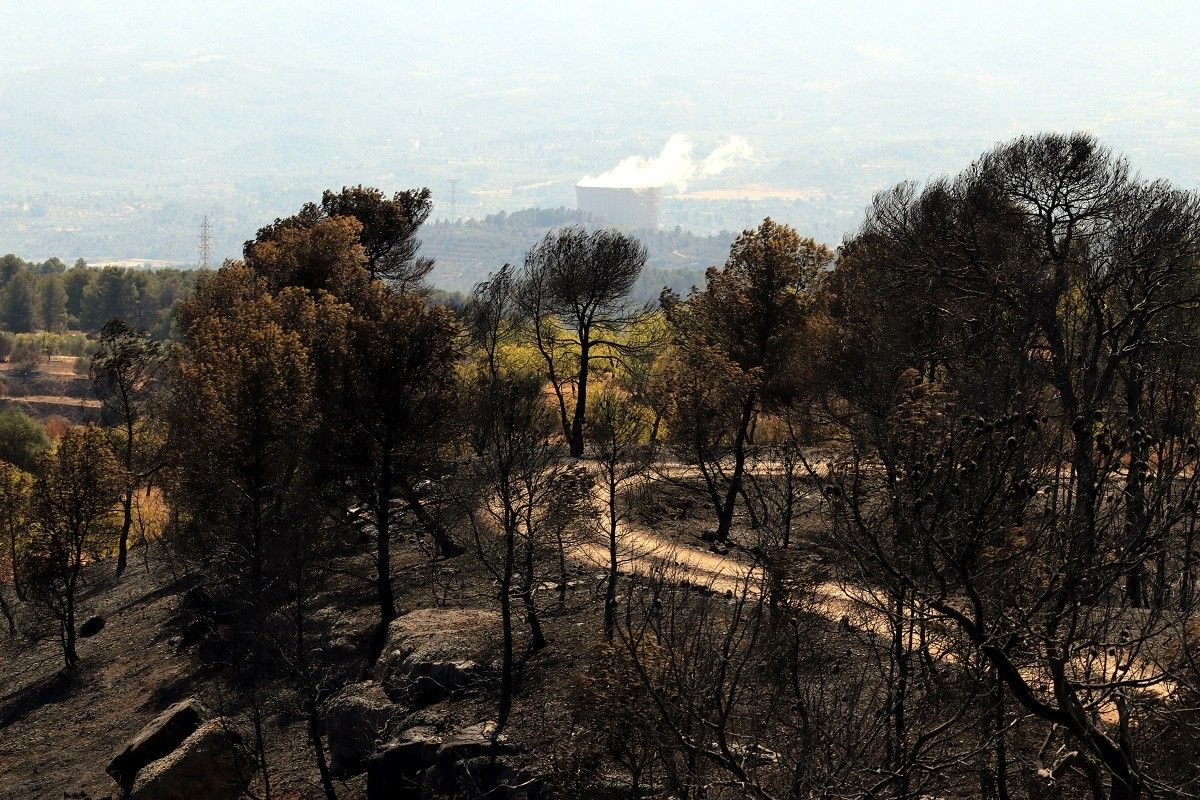 Els efectes de l'incendi a la Ribera d'Ebre