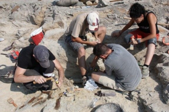 Un grup de gent excavant al jaciment de Basturs Poble.
