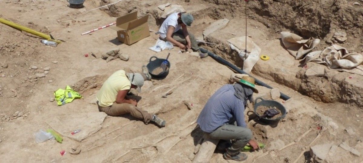 Pla general dels arqueòlegs treballant a la necròpolis 