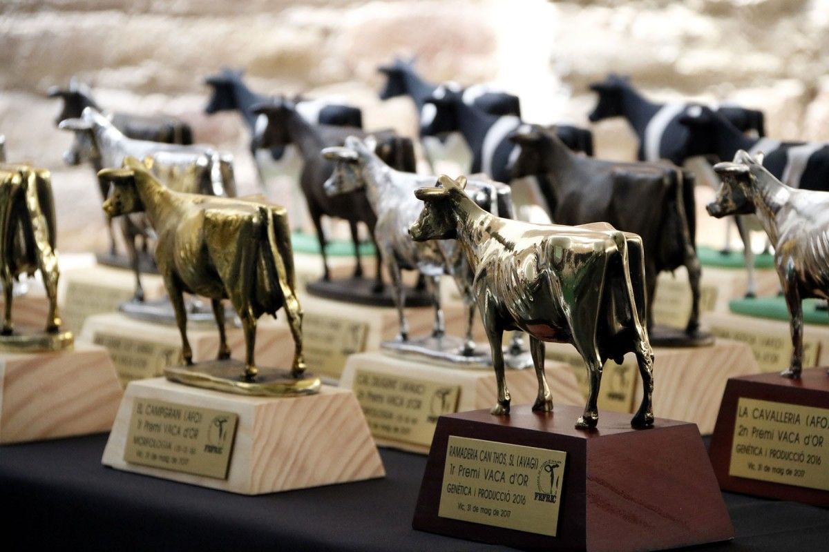 Els guardons dels premis Vaca 
