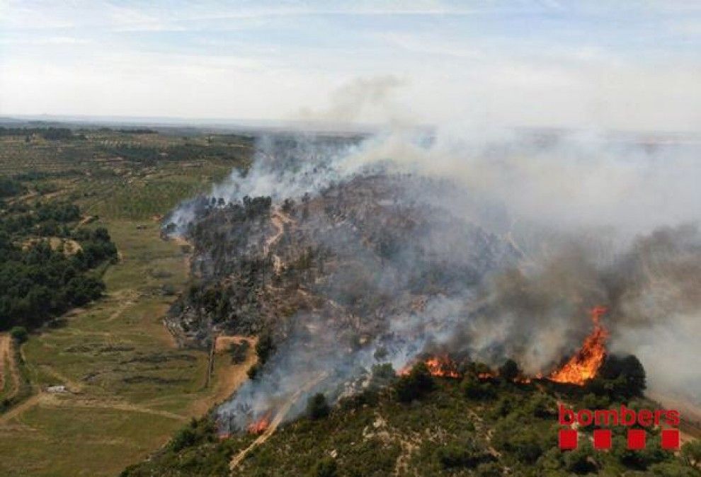 L'incendi ha cremat 9 hectàrees 