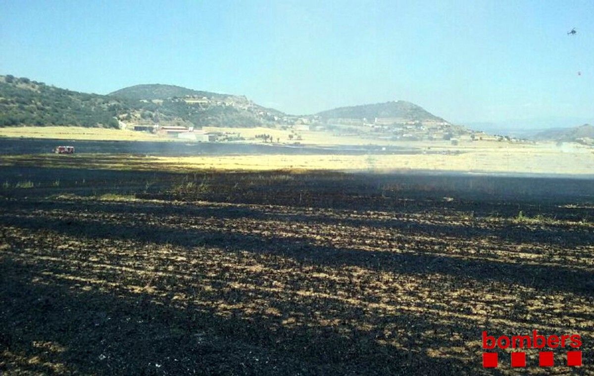 Imatge de la zona cremada a Foradada