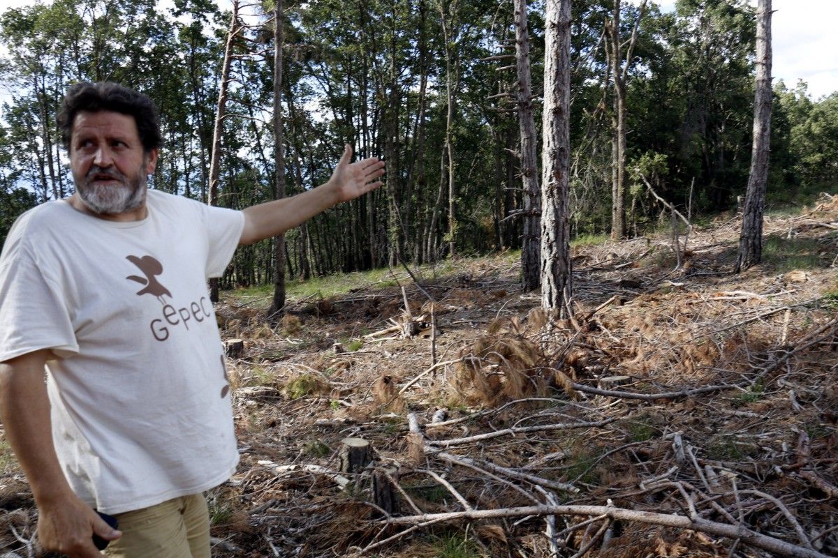 Joan Vázquez mostrant la fusta abandonada