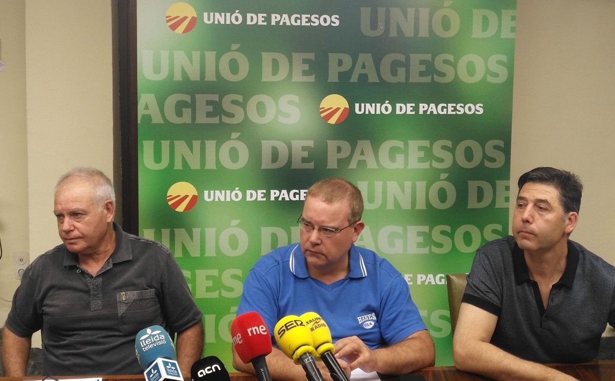 UP ha fet una roda de premsa aquest matí a Lleida