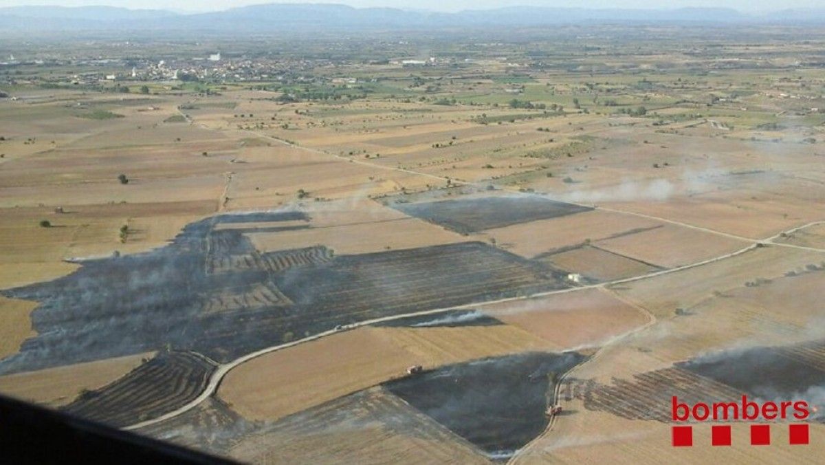 L'incendi de Preixana ha afectat unes dues hectàrees de vegetació agrícola