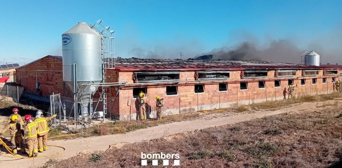 La granja que ha cremat a Sant Martí de Maldà