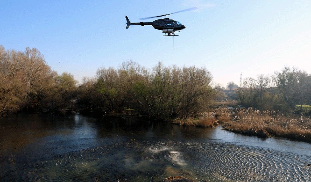 Imatge de l'helicòpter, al març, dipositant el tractament contra la mosca negra al Segre